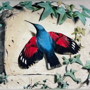 John Derian Vibrant Bird Print Scarf with Red and Blue Accents